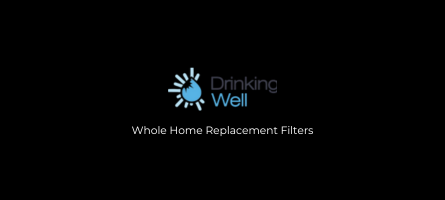 whole house water filter cartridge