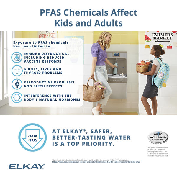 Elkay WaterSentry PFAS Lead Microplastics Filter: NSF Certified, 2250 Gallon, 12-Month Replacement