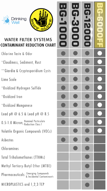 Body Glove BG-6000FF Full Flow Water Filtration System